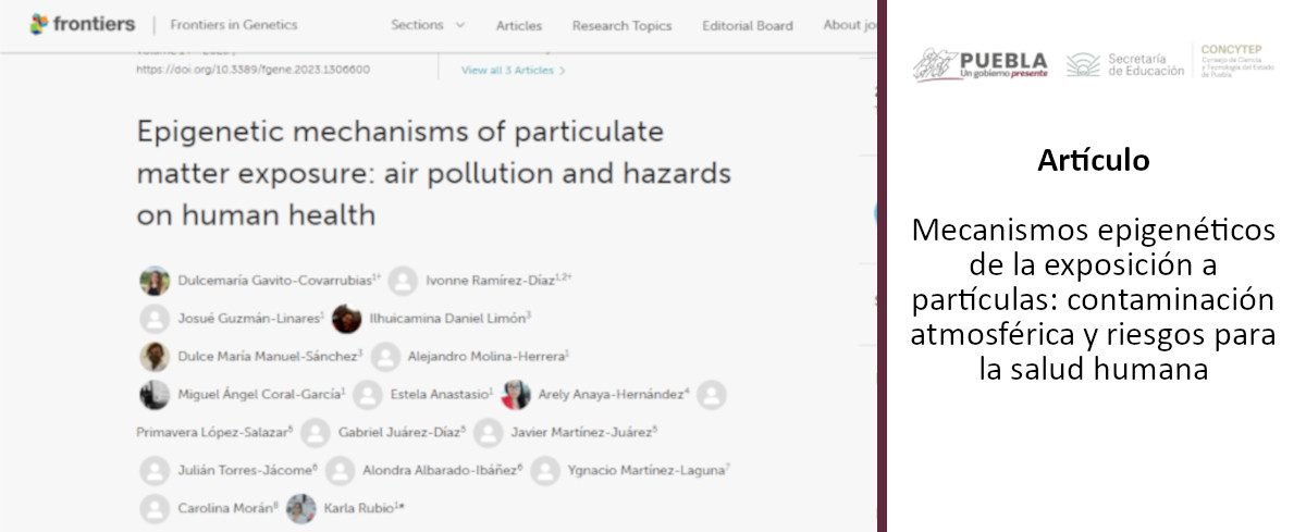 Artículo - Mecanismos epigenéticos de la exposición a partículas: contaminación atmosférica y riesgos para la salud humana