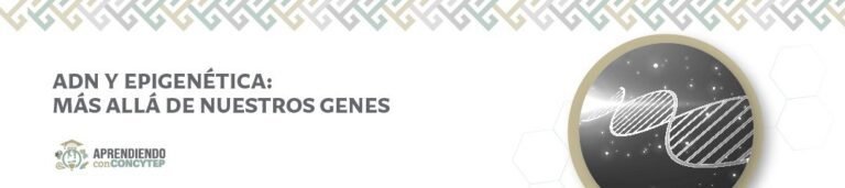 ADN y epigenética: más allá de nuestros genes