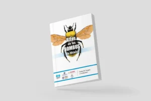 Publicación: Atlas de los Bombus de México