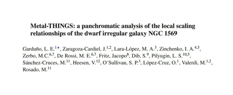 Metal-THINGS: un análisis pancromático de las relaciones de escala local de la galaxia irregular enana NGC 1569