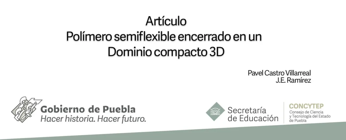 Polímero semiflexible encerrado en un Dominio compacto 3D