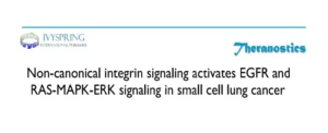 La señalización no canónica de integrinas activa la señalización de EGFR y RAS-MAPK-ERK en el cáncer de pulmón de células pequeñas