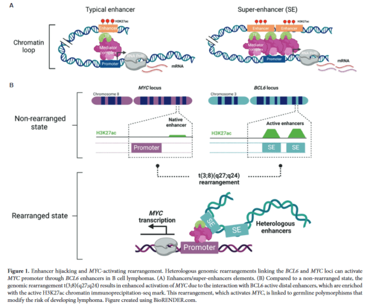 Enhancers and super-enhancers as master regulators in cancer