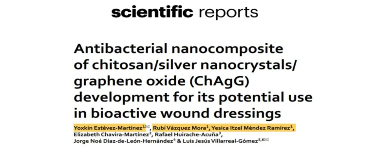 Antibacterial nanocomposite of chitosan/silver nanocrystals/ graphene oxide (ChAgG) development for its potential use in bioactive wound dressing