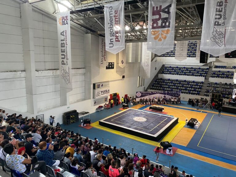 Gimnasio Miguel Hidalgo en el “Festival Wushu”.